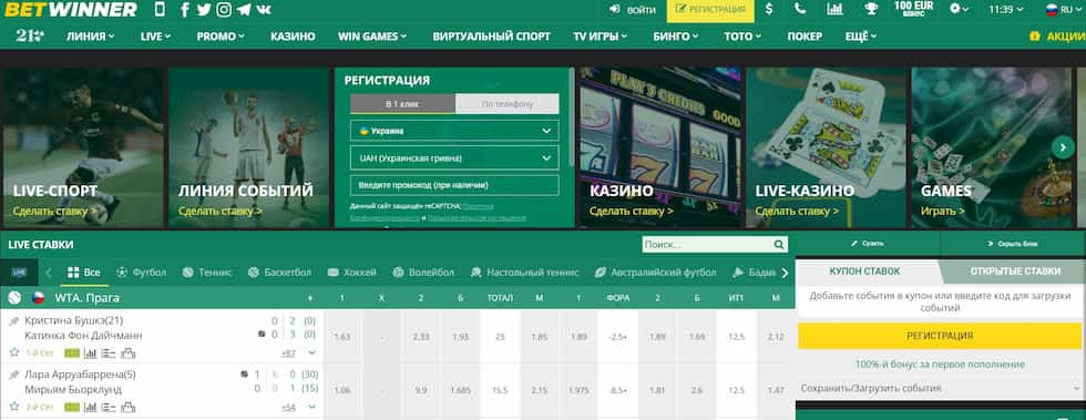 Discover the Thrills of Baji bet live Betting Experience